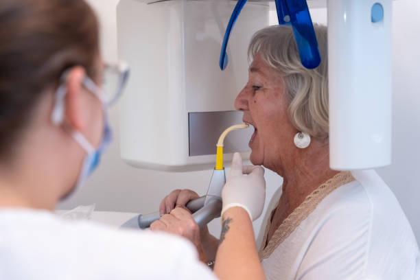 Best Emergency X-Rays and Diagnostics in Live Oak, FL